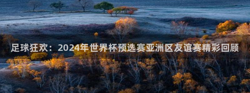 足球狂欢：2024年世界杯预选赛亚洲区友谊赛精彩回顾