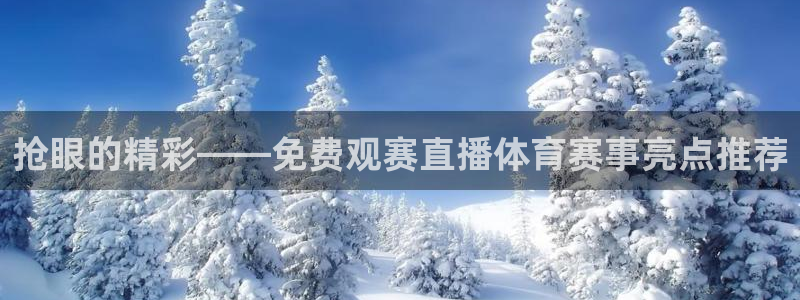 抢眼的精彩——免费观赛直播体育赛事亮点推荐